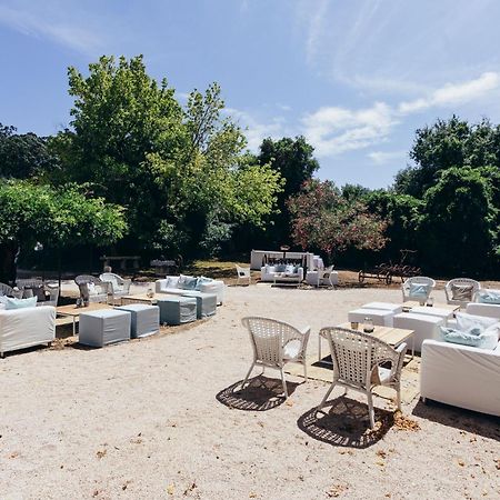 Quinta Do Tojal Guest House Ferreira do Zêzere Екстериор снимка