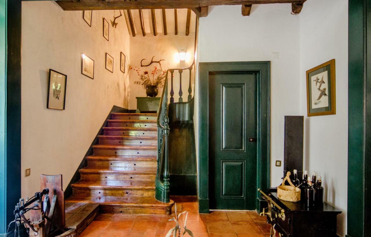 Quinta Do Tojal Guest House Ferreira do Zêzere Екстериор снимка